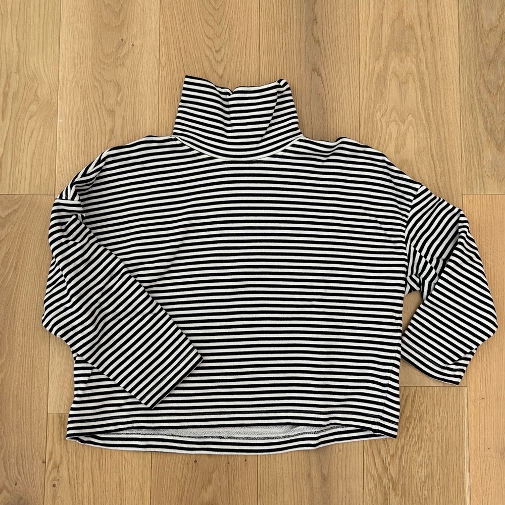 Everlane Turtleneck Sweatshirt in black and white stripes